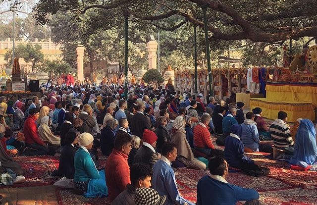 morning_meditation_under_the_bodhi_tree